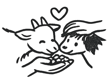 Feeding and cuddling animals