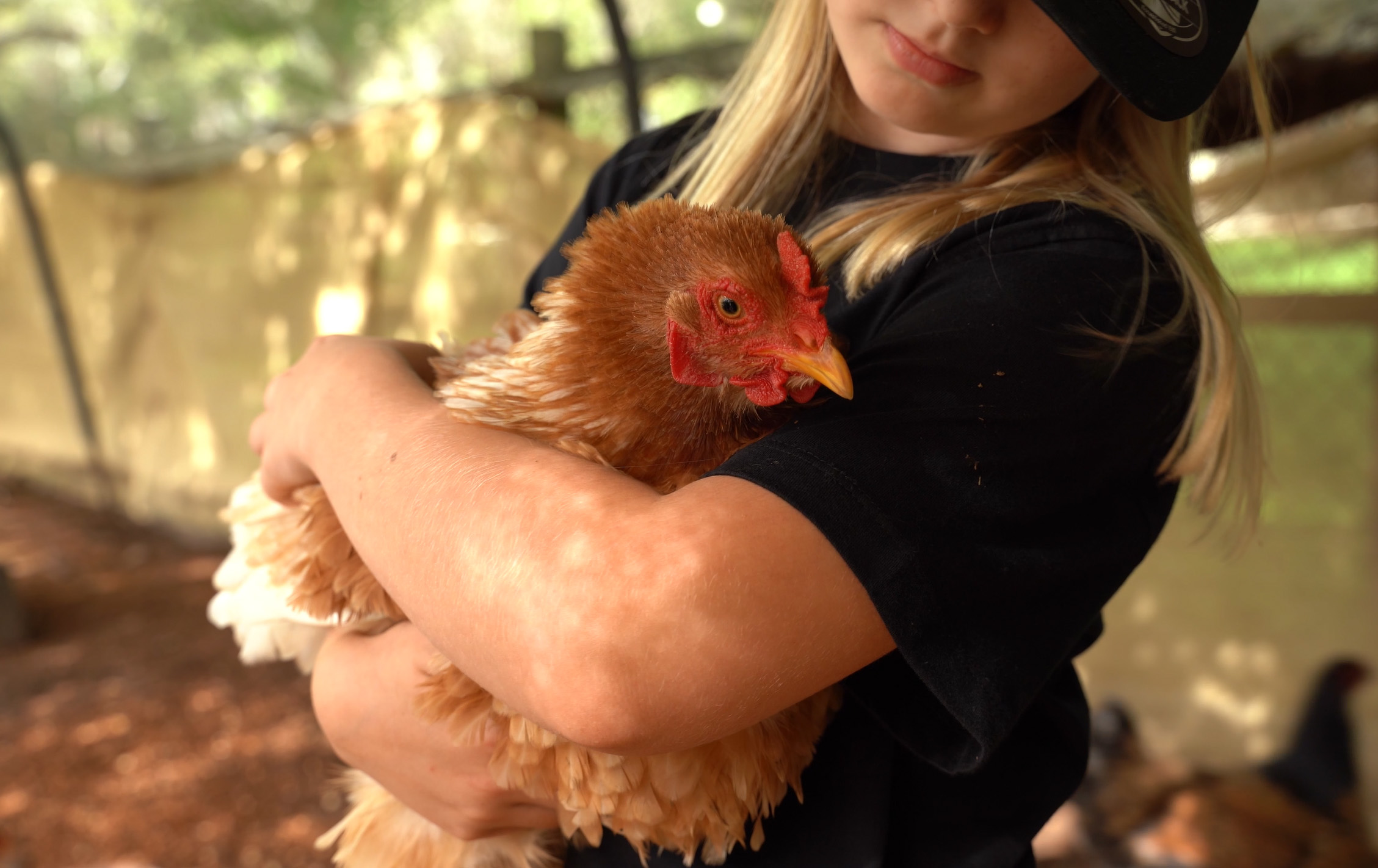 School Animal Education incursion